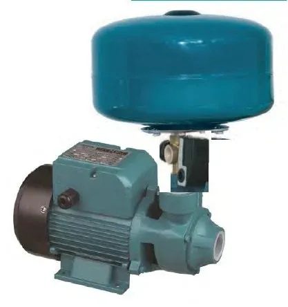 MOMENTUM PKm60/SA5 -0.5HP-220V- Preferikal Sürtme Fanlı Paket Hidrofor