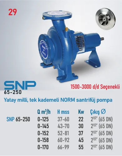 Star Pompa SNP (65-250) 3000 d/d 45 kW Yatay Milli Tek Kademeli Norm Santrifüj Pompa