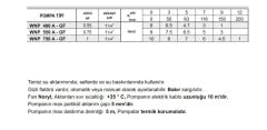 Winpo WNP 550 A - GF Gizli Flatörlü Drenaj Pompa 0.75 HP