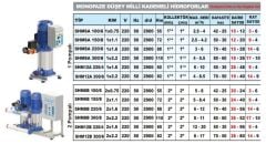 Sumak SHM12A 300/6 Tek Pom. Hidrofor 3 HP 9 Kat 40 Daire - 220V