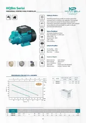 Kaysu HQBm60 Periferik Pompa Su Pompası 0,5 HP