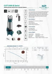 Kaysu CUT1500-B Döküm Gövdeli Öğütücülü Foseptik Pompası 2 HP