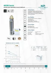 Kaysu 4SKM Sürtme Fanlı Preferikal Dalgıç Pompalar 1 HP