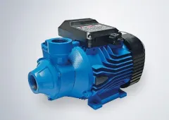 Star SPP 100  Preferikal Sürtme Çarklı 1 HP Monofaze