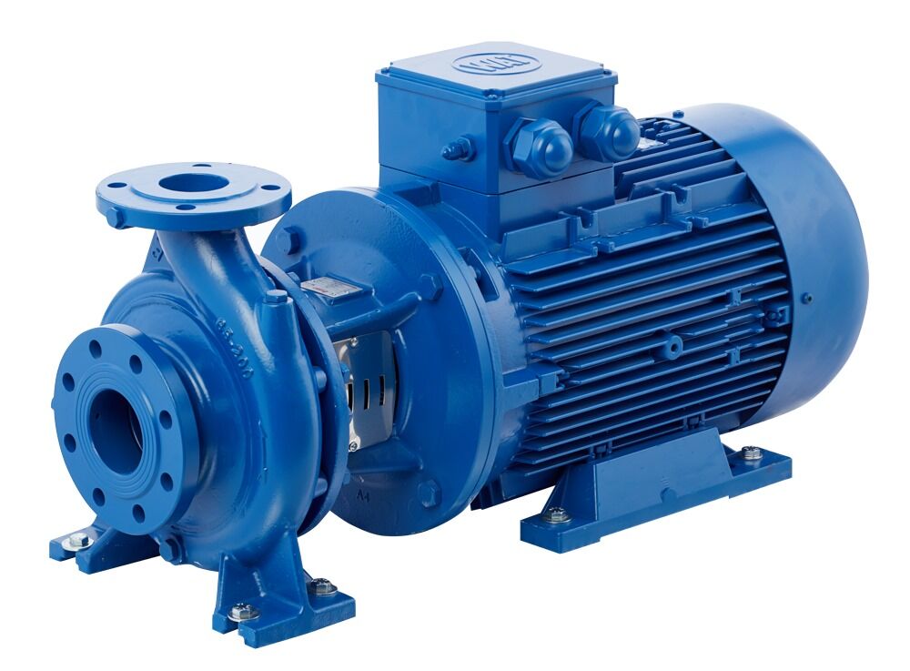 STANDART ECO SNM 65-250 (45 KW - 60 HP ) 2900 d/d