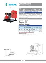 Sumak SMKT 750 DJY İki Pom. Yangın Hidroforu 1x7.5 HP 1x1.8 HP 380V