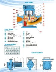 Norm NLL 50/160 5.5 kW 380V Tek Kademeli İnline Tip Kuru Rotorlu Salyangoz Gövdeli Santrifüj Pompa (2900 d/dk)