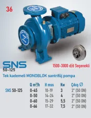 Star Pompa SNS (50-125) 3000 d/d 5,5 Kw Tek Kademeli Monoblok Santrifüj Pompa