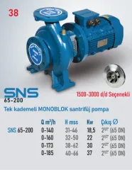 Star Pompa SNS (65-200) 1500 d/d 2,2 Kw Tek Kademeli Monoblok Santrifüj Pompa