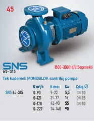 Star Pompa SNS (65-315) 1500 d/d 11 Kw Tek Kademeli Monoblok Santrifüj Pompa