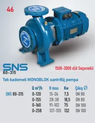 Star Pompa SNS (80-315) 1500 d/d 15 Kw Tek Kademeli Monoblok Santrifüj Pompa