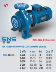 Star Pompa SNS (100-315) 1500 d/d 15 Kw Tek Kademeli Monoblok Santrifüj Pompa