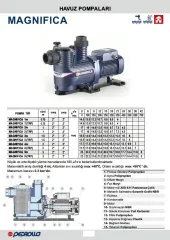 Pedrollo MAGNIFICA 4m 2Hp 220V Ön Filtreli Havuz Pompası
