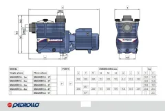 Pedrollo MAGNIFICA 4 (TRF) 2Hp 380V Ön Filtreli Havuz Pompası