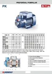 Pedrollo PK 200 (TRF) 2Hp 380V Preferikal Pompa