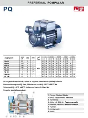 Pedrollo PQ 100 1.5Hp 380V Preferikal Pompa