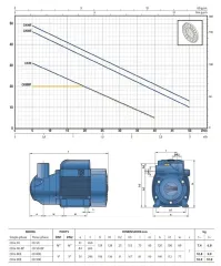 Pedrollo CKm 80 0.75Hp 220V Yakıt Pompası (Mazot ve Yağ Aktarım Pompası)