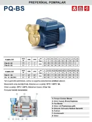 Pedrollo PQm 81 - BS PRO 0.7Hp 220V Preferikal Pompa