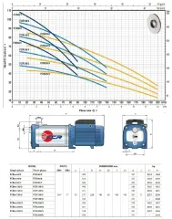 Pedrollo FCRm 130/5 2.5 Hp 220V Komple Paslanmaz Yatay Kademeli Pompa