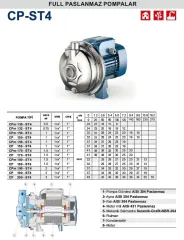 Pedrollo CPm 132 - ST6 0.75 Hp 220V Full Paslanmaz Tek Kademeli Pompa