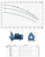 Pedrollo CP 170M (TRF) 1.5Hp 380V Tek Fanlı Santrifüj Pompa