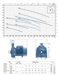 Pedrollo CPm 210C 3Hp 220V Tek Fanlı Santrifüj Pompa