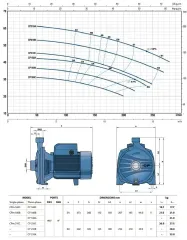 Pedrollo CPm 220C 3Hp 220V Tek Fanlı Santrifüj Pompa