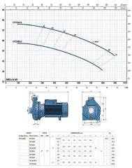 Pedrollo CP 220B (TRF) 4Hp 380V Tek Fanlı Santrifüj Pompa