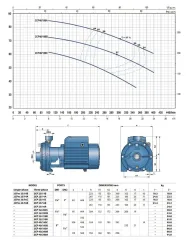 Pedrollo 2CPm 25 / 16A 3Hp 220V Çift Fanlı Santrifüj Pompa