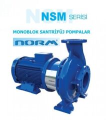 Norm NSM 80/160 15 kW 380V Tek Kademeli Salyangoz Gövdeli Monoblok Santrifüj Pompa (2900 d/dk)