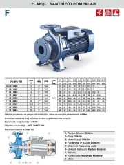 Pedrollo F 32 / 250B 15Hp 380V Flanşlı Santrifüj Pompa
