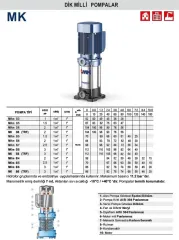 Pedrollo MKm 8/4 2Hp 220V Dik Milli Kademeli Pompa