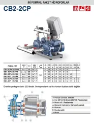 Pedrollo CB2-2CPm 25/16A 2X3Hp 220V İki Pompalı Paket Hidrofor