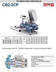 Pedrollo CB2-2CPm 25/16A 2X3Hp 220V İki Pompalı Paket Hidrofor