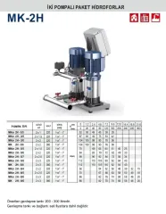 Pedrollo MKm 2H - 5/5 2x1.5Hp 220V İki Pompalı Dikey Milli Paket Hidrofor
