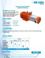 Norm NB 2207 T 2.2 kW 380V Yatay Milli Çok Kademeli Santrifüj Pompa