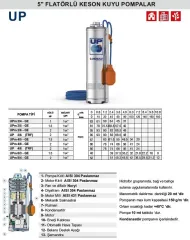 Pedrollo UPm 4/6-GE 2Hp 220V 5\'\' Flatörlü Keson Kuyu Dalgıç Pompa