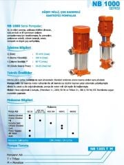 Norm NB 1110 T 1.5 kW 380V Düşey Milli Çok Kademeli Santrifüj Pompa