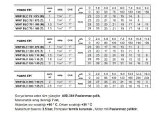 Winpo WNP BLC 200/185 Paslanmaz Santrifüj Pompa 2.5 HP Trifaze
