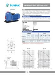 Sumak DSMT750/3 Kendinden Klapeli Santrifüj Pompa 7.5 HP 380V