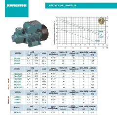 MOMENTUM PKM80AT 1Hp 220V Preferikal Sürtme Fanlı Pompa