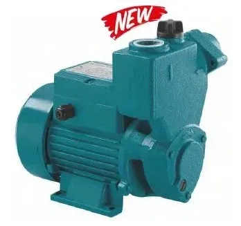 Momentum PKSm75 1Hp 220V Kendinden Emişli Sürtme Fanlı Pompa