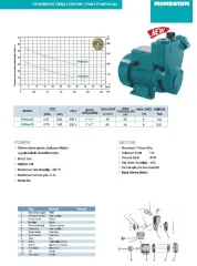 Momentum PKSm75 1Hp 220V Kendinden Emişli Sürtme Fanlı Pompa