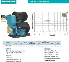 MOMENTUM PKSm130 0.50HP Preferikal Paket Hidrofor (1kat-2daire)