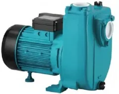 MOMENTUM PHS2000 -2HP-380V- KLAPELİ SANTRİFÜJ POMPA